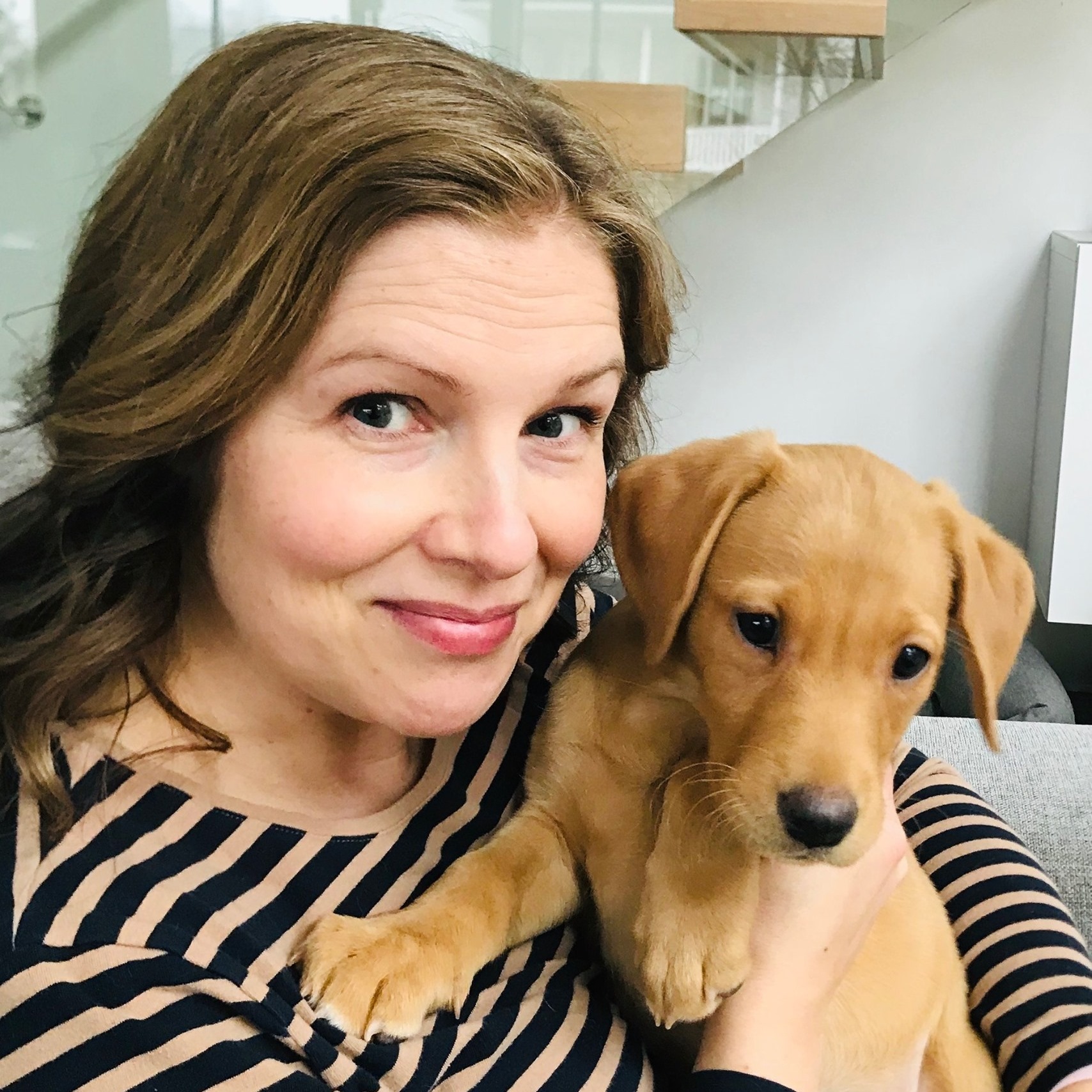 Labradorinnoutajan pentu ensimmäisessä terveystarkastuksessaan.
